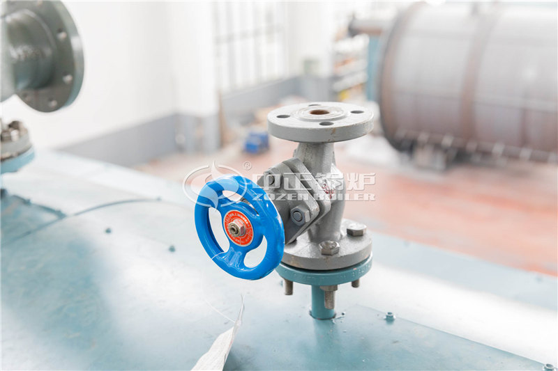 30T燃氣導(dǎo)熱油鍋爐價格貴嗎