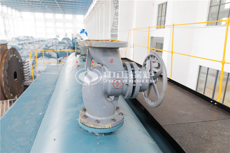 10T燃生物質(zhì)導熱油鍋爐多少萬元買到