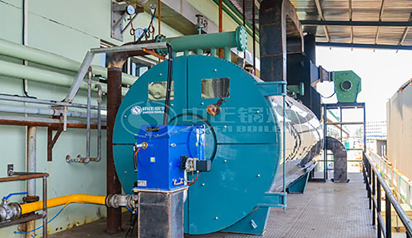 厭氧產(chǎn)沼氣燒鍋爐