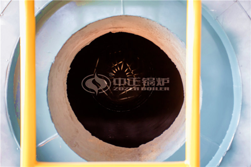 燃生物質導熱油鍋爐服務點 環(huán)保嗎