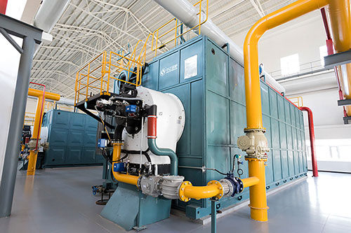 1蒸噸的燃?xì)忮仩t