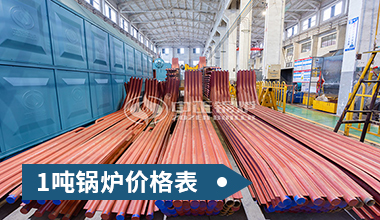 燃?xì)忮仩t廠家