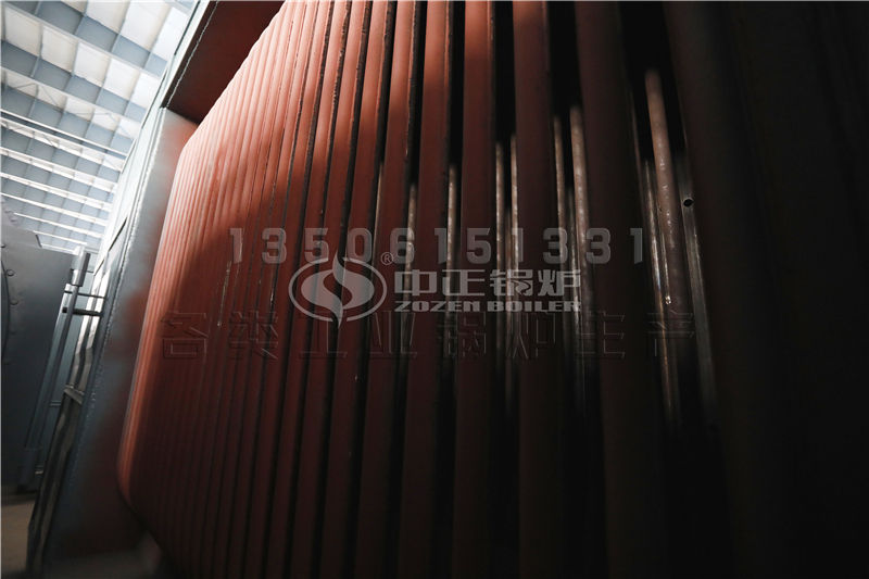 江蘇生物質(zhì)導熱油鍋爐供應 導熱油鍋爐誰家性能好，價格合理?