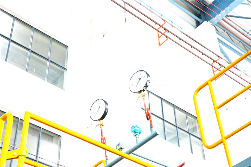 10噸燃生物質(zhì)導(dǎo)熱油鍋爐多少錢(qián)一臺(tái)