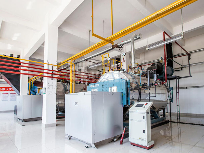 生物質(zhì)蒸汽鍋爐